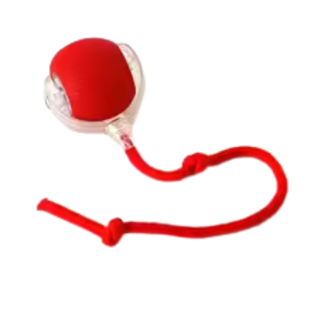Snake - Interaktiv Kattleksak - USB uppladdningsbar